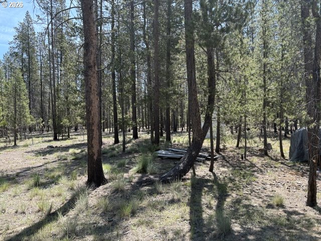 149935 Kurtz Road La Pine, OR 97739 - Photo 43 of 44