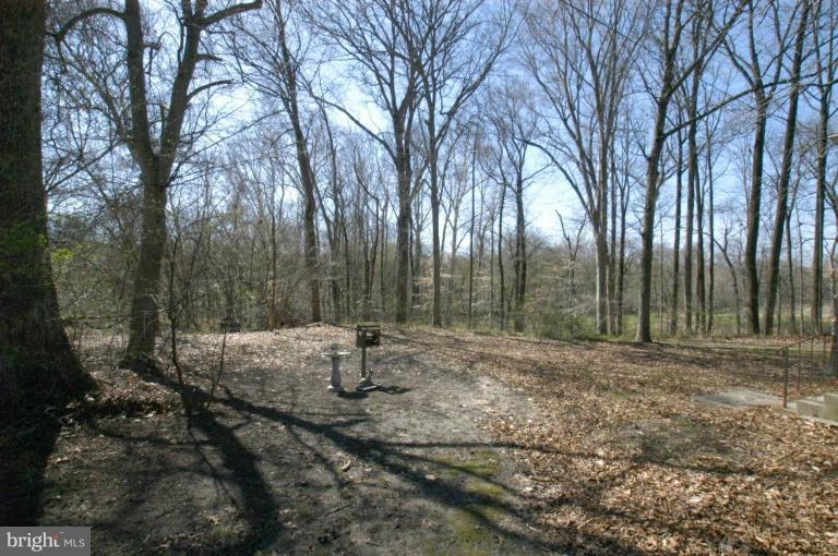 8235 Brock Bridge Road Laurel, MD 20724 - Photo 2 of 8 Back yard