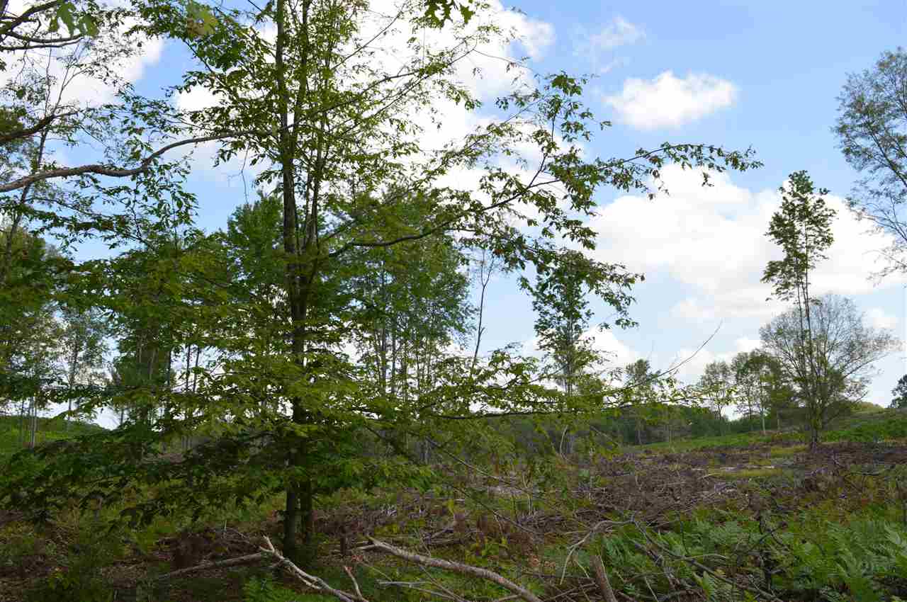 16 East Mile Road Reed City, MI 49677 - Photo 12 of 13 Gallery Image 12
