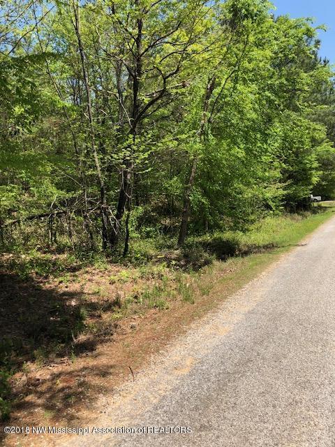 0 Canal Ridge Road Byhalia, MS 38611 - Photo 4 of 5 Canal ridge 5