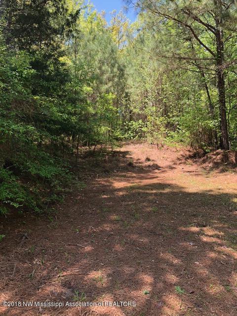 0 Canal Ridge Road Byhalia, MS 38611 - Photo 5 of 5 Canal ridge 4