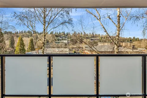 a view of a window of a yard