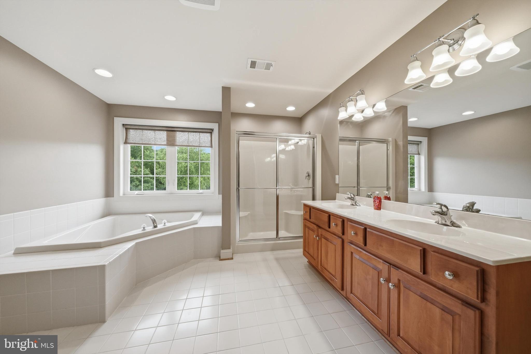 5716 Mt Briar Road Keedysville, MD 21756 - Photo 45 of 81 Primary Bath