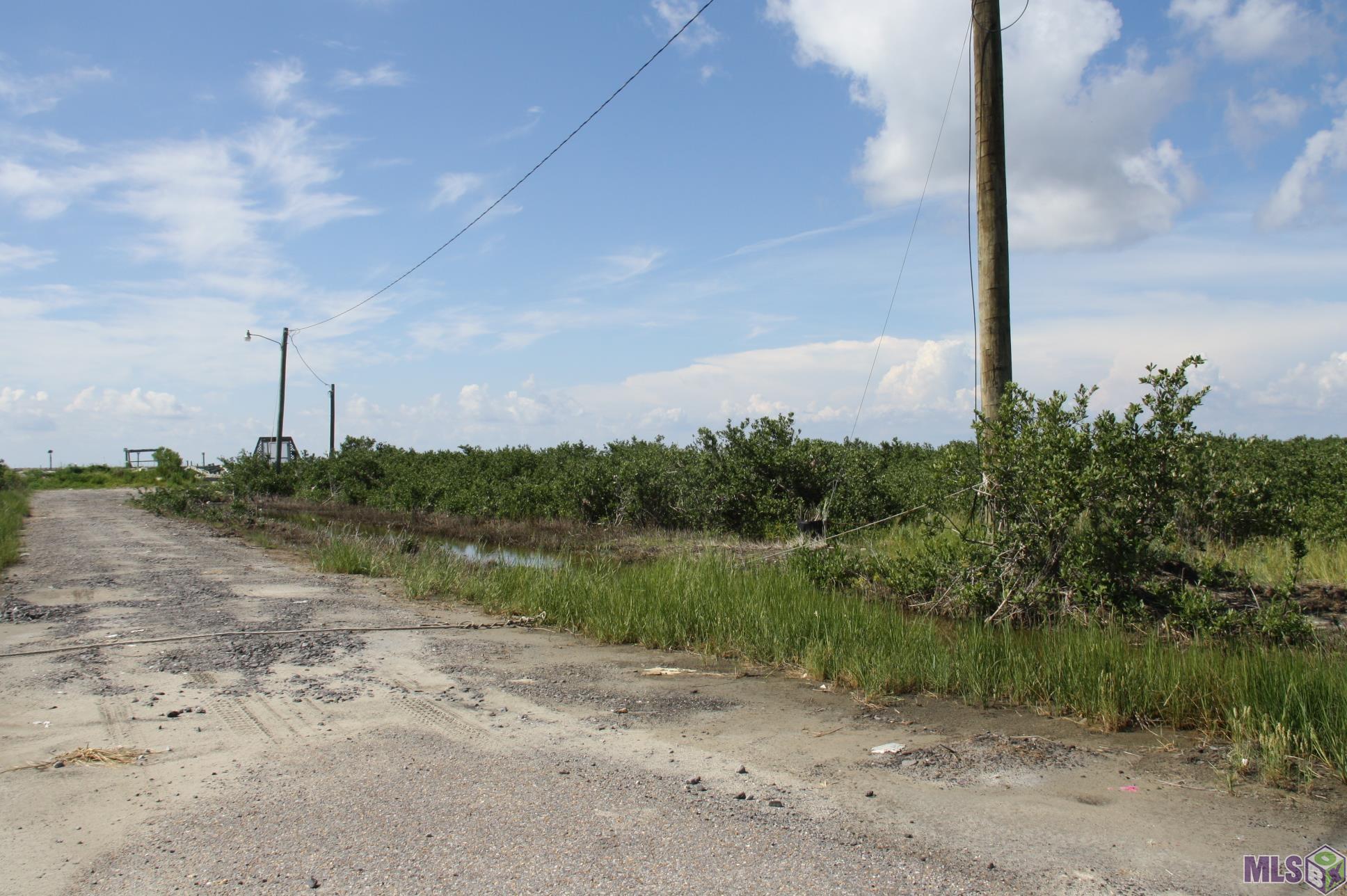 161 Raspberry Lane Grand Isle, LA 70358 - Photo 6 of 32 Gallery Image 6