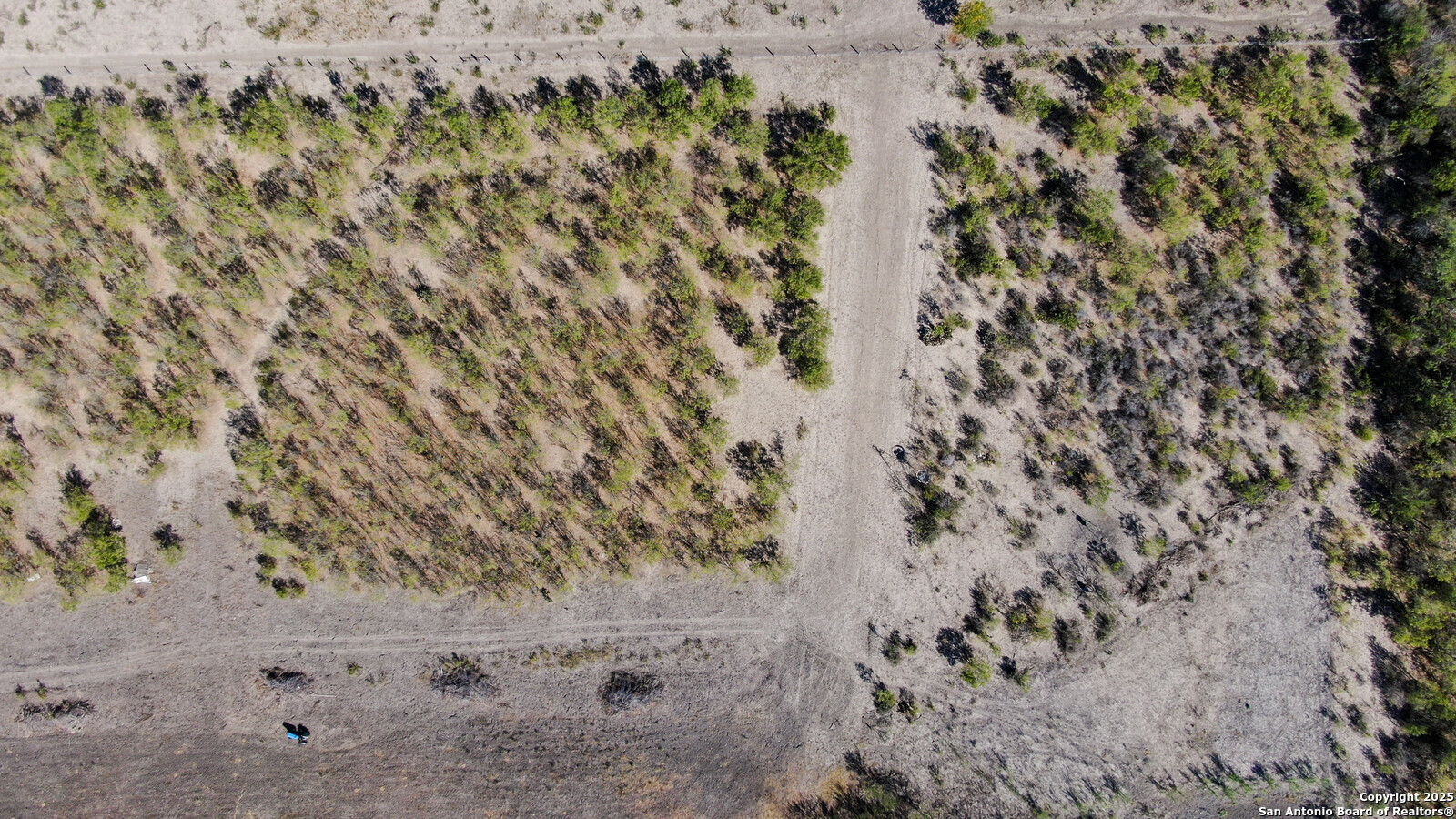 0 Applewhite Road San Antonio, TX 78264 - Photo 12 of 22 a view of a dry yard