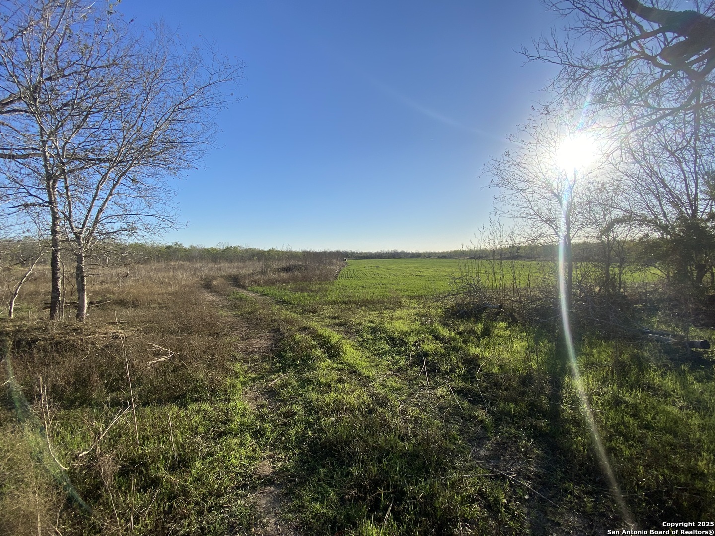 0 Applewhite Road San Antonio, TX 78264 - Photo 14 of 22 a view of a yard with an outdoor space
