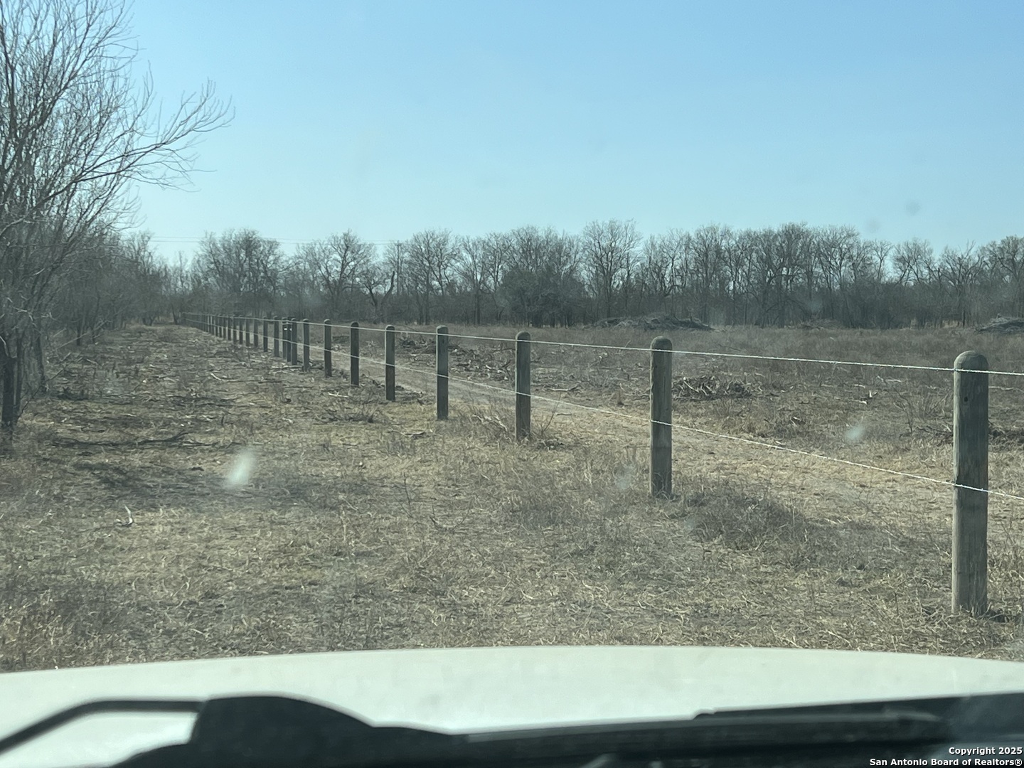 0 Applewhite Road San Antonio, TX 78264 - Photo 17 of 22 a view of a yard with large tree