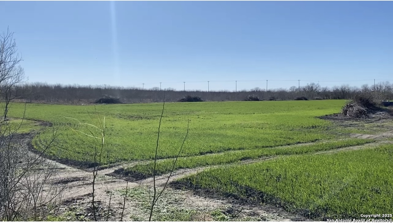 0 Applewhite Road San Antonio, TX 78264 - Photo 19 of 22 a view of a field of grass and a yard