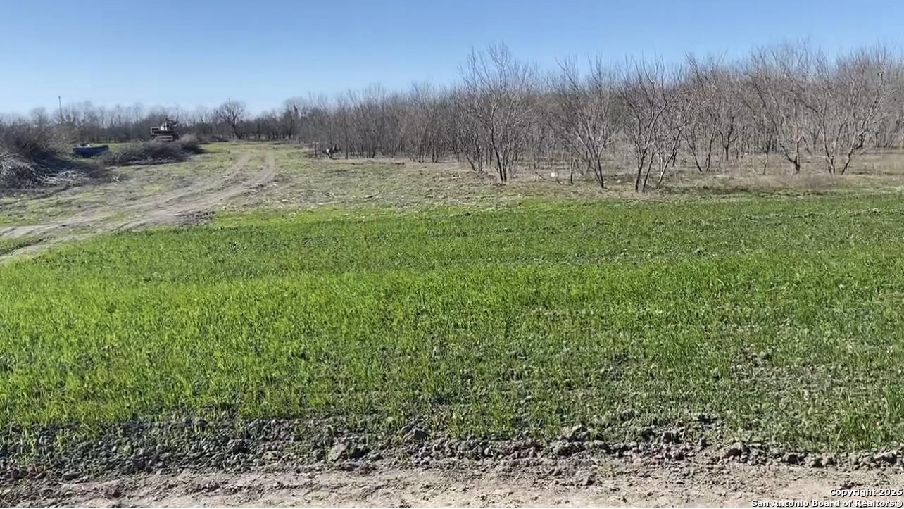 0 Applewhite Road San Antonio, TX 78264 - Photo 20 of 22 a backyard of a house with lots of green space