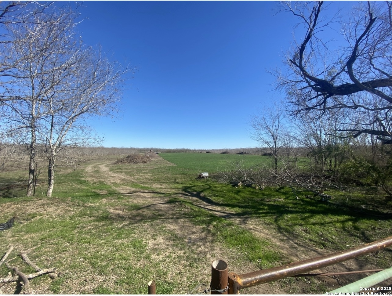 0 Applewhite Road San Antonio, TX 78264 - Photo 22 of 22 a view of a pathway both side of yard with green space