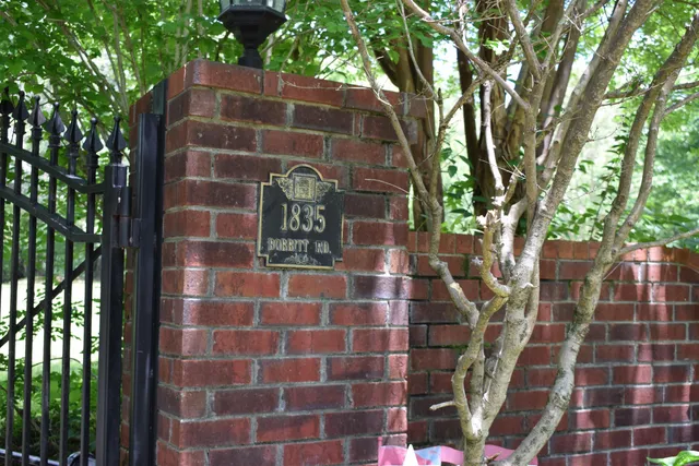 a view of a pathway both side of building