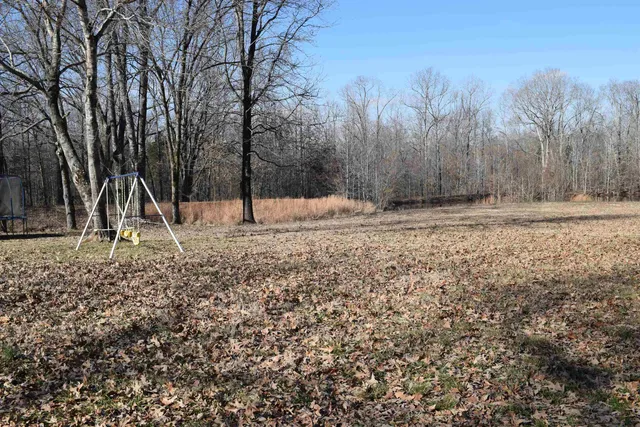 a backyard of a house with lots of green space