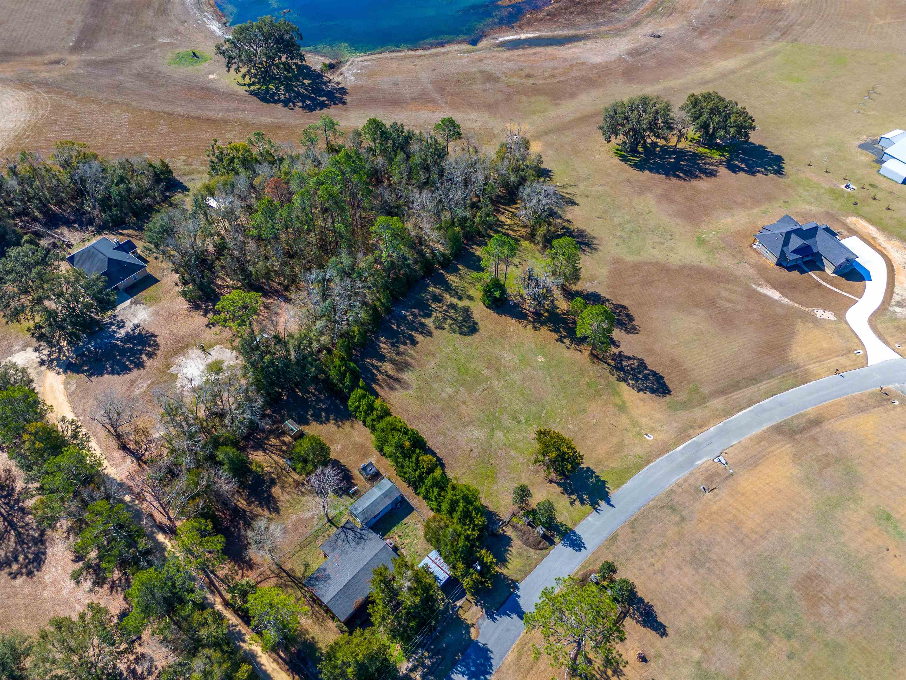 293 Willie Deas Road Madison, FL 32340 - Photo 3 of 6