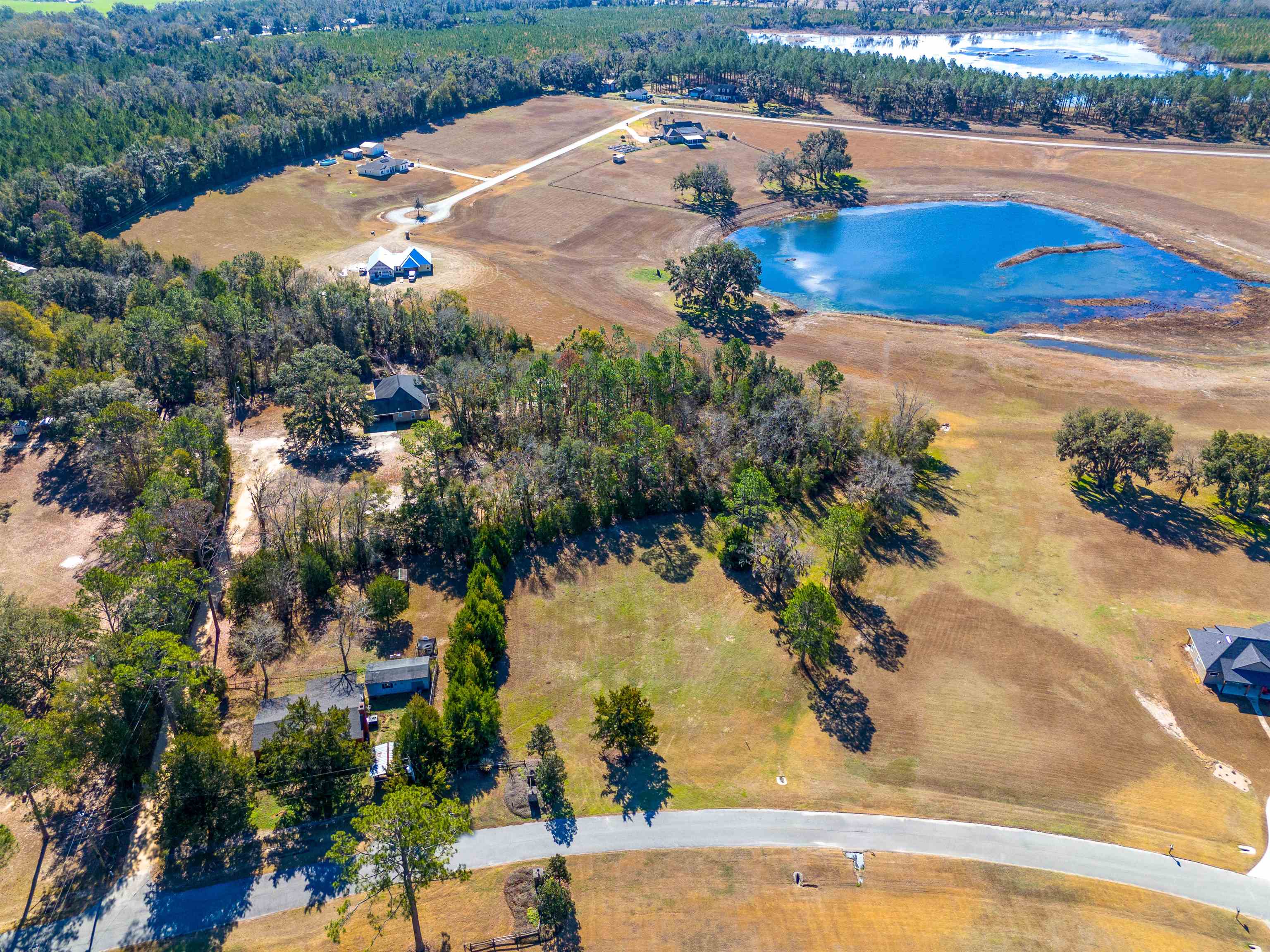 293 Willie Deas Road Madison, FL 32340 - Photo 4 of 6