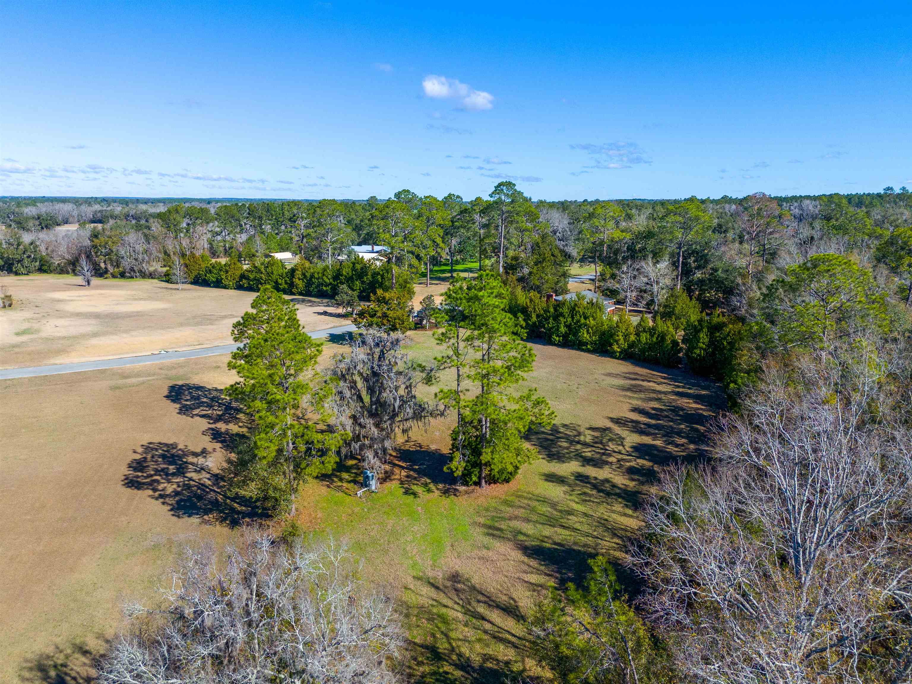 293 Willie Deas Road Madison, FL 32340 - Photo 6 of 6