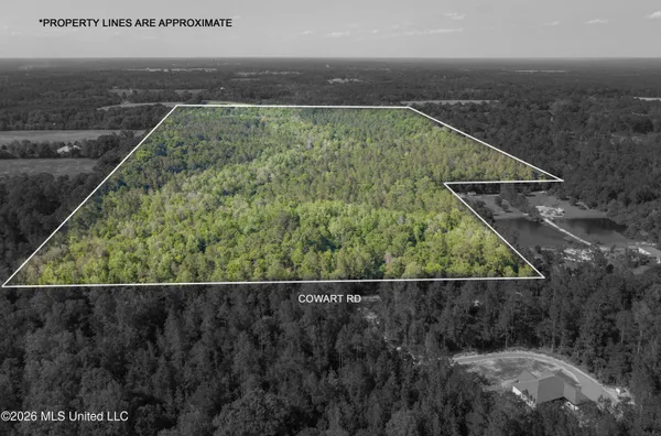 $275,000 | 74-ac Cowart Road, Lucedale, MS 39452