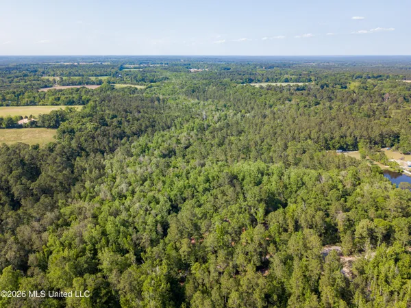 $275,000 | 74-ac Cowart Road, Lucedale, MS 39452