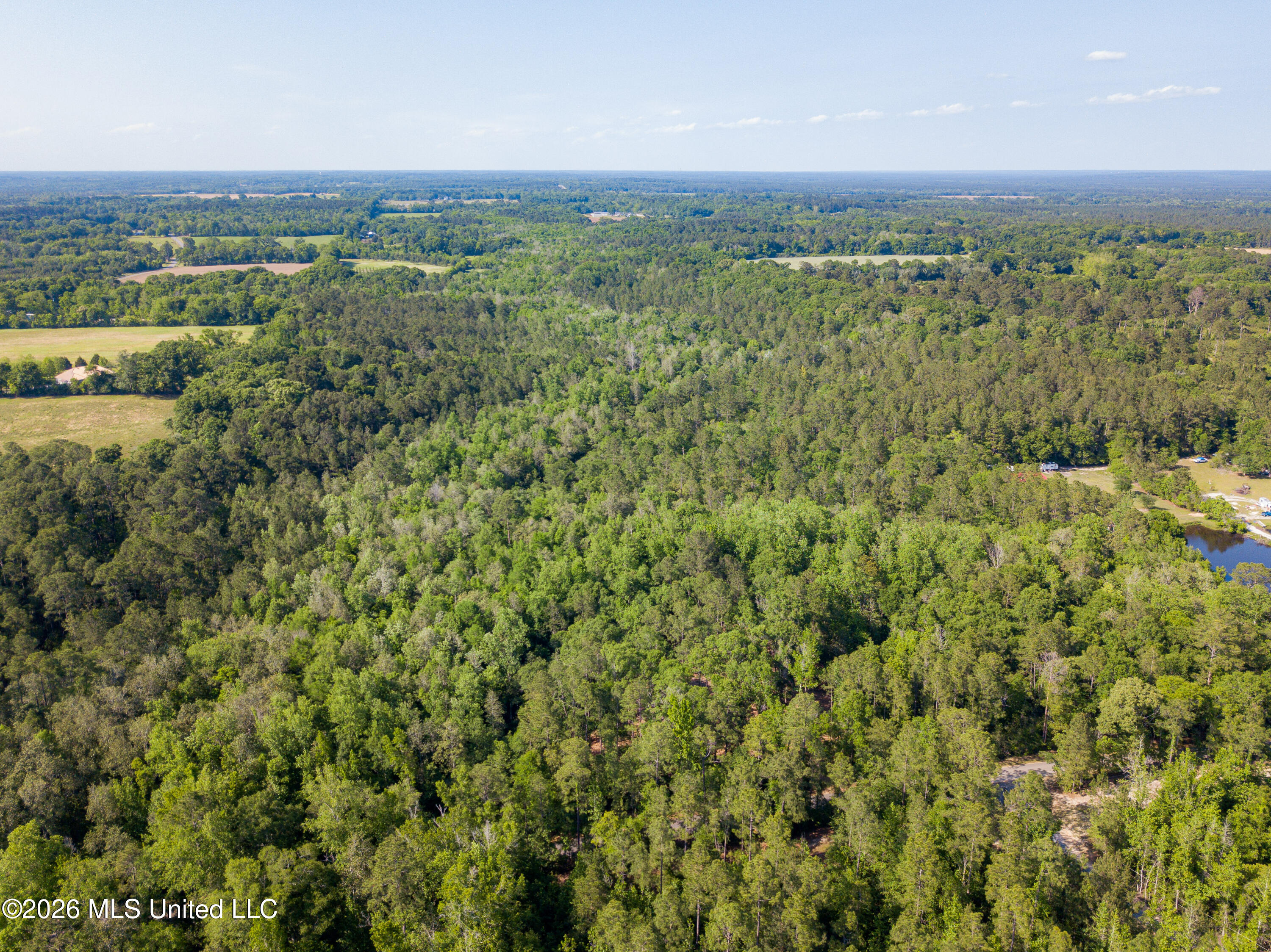 74-ac Cowart Road Lucedale, MS 39452 - Photo 11 of 37 DJI_0026