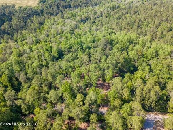 $275,000 | 74-ac Cowart Road, Lucedale, MS 39452