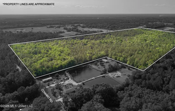 $275,000 | 74-ac Cowart Road, Lucedale, MS 39452