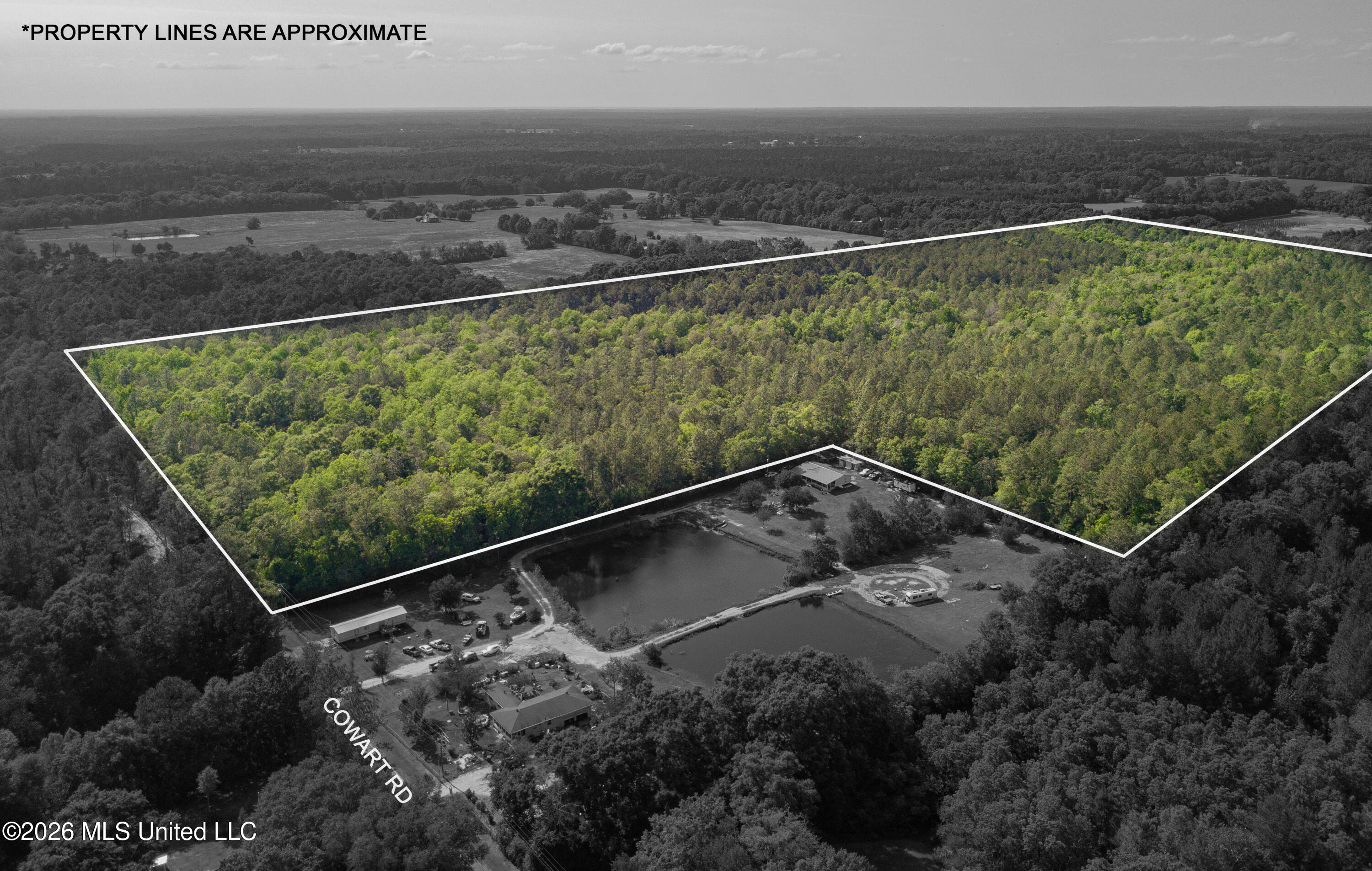 74-ac Cowart Road Lucedale, MS 39452 - Photo 16 of 37 DJI_0973-Edit