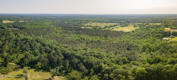 $275,000 | 74-ac Cowart Road, Lucedale, MS 39452