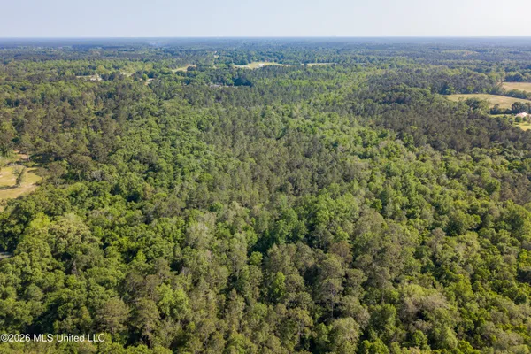 $275,000 | 74-ac Cowart Road, Lucedale, MS 39452
