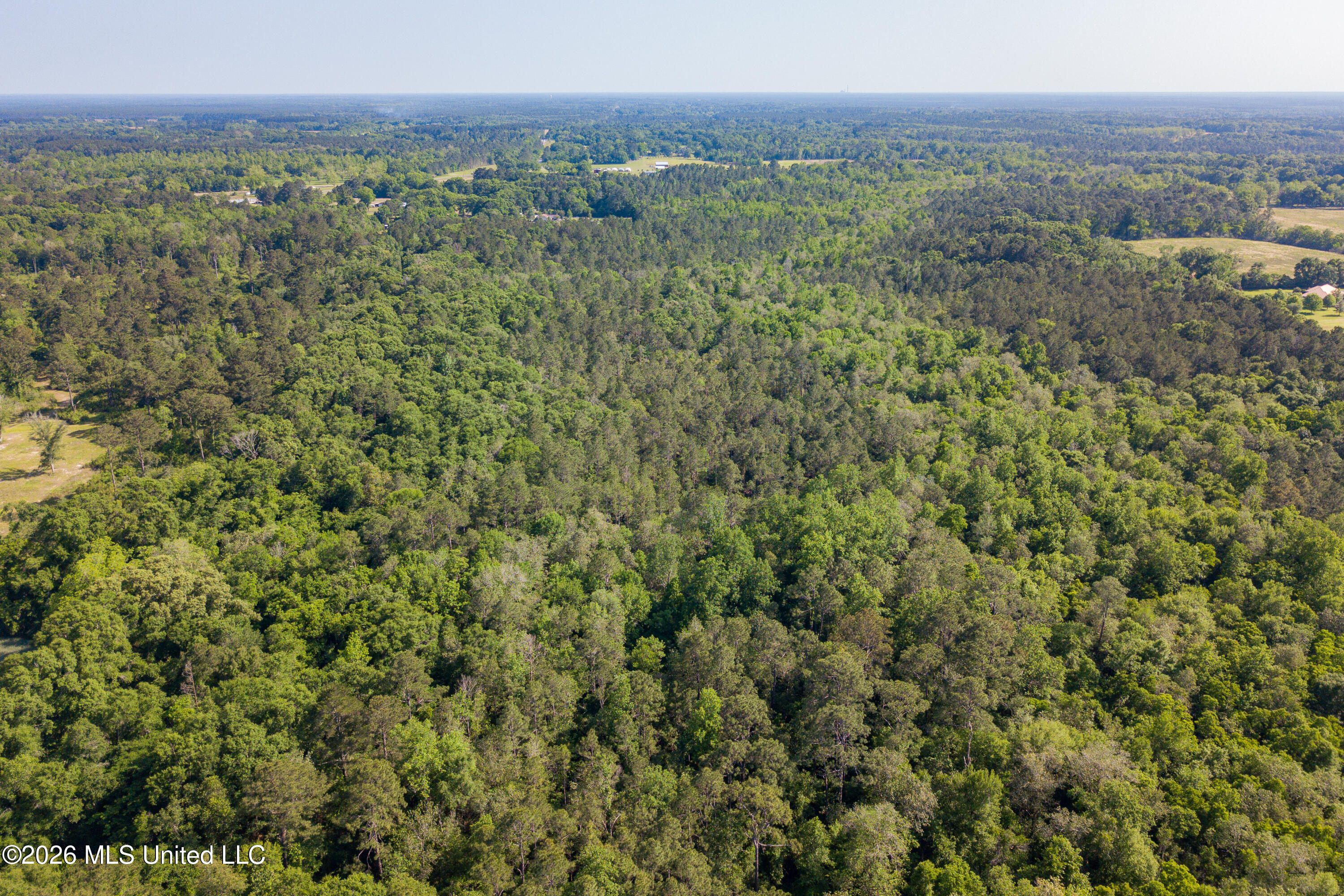 74-ac Cowart Road Lucedale, MS 39452 - Photo 21 of 37 DJI_0993