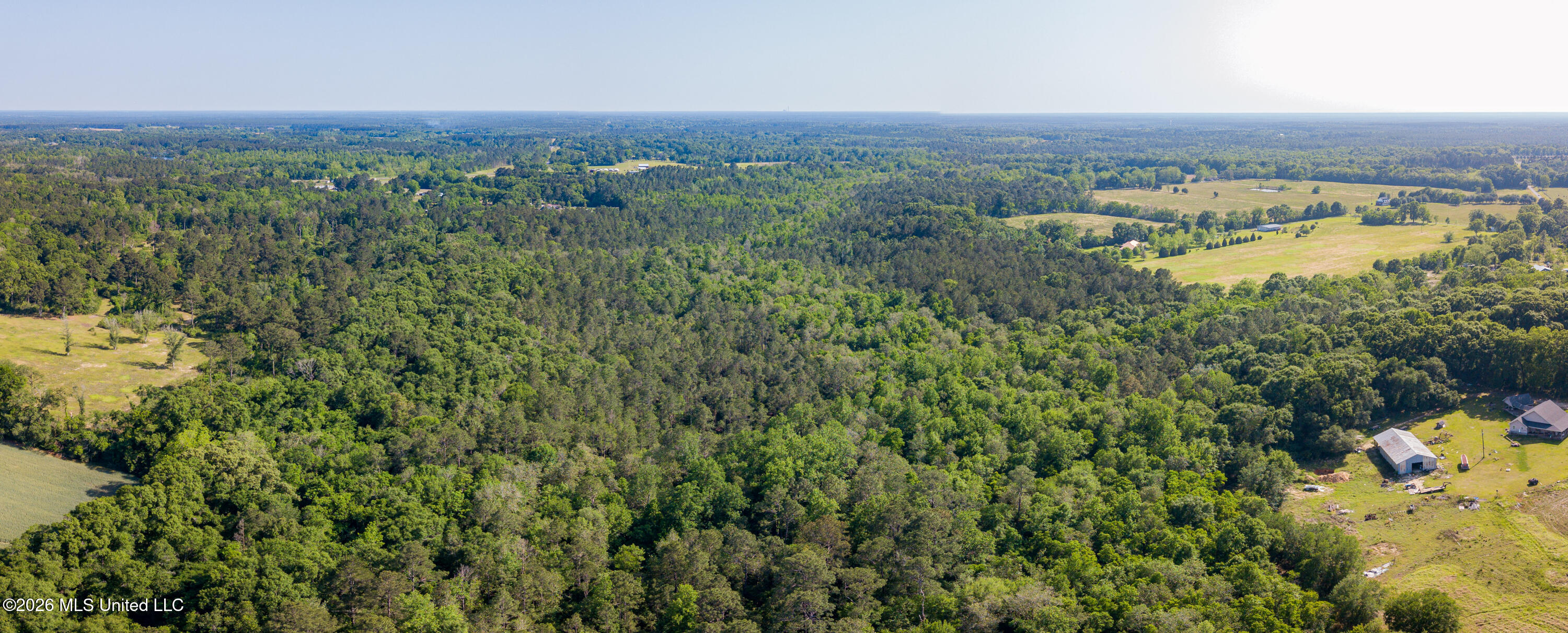 74-ac Cowart Road Lucedale, MS 39452 - Photo 22 of 37 DJI_0998-Pano