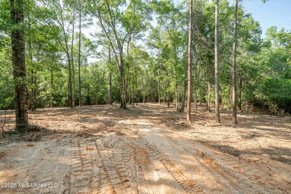 $275,000 | 74-ac Cowart Road, Lucedale, MS 39452