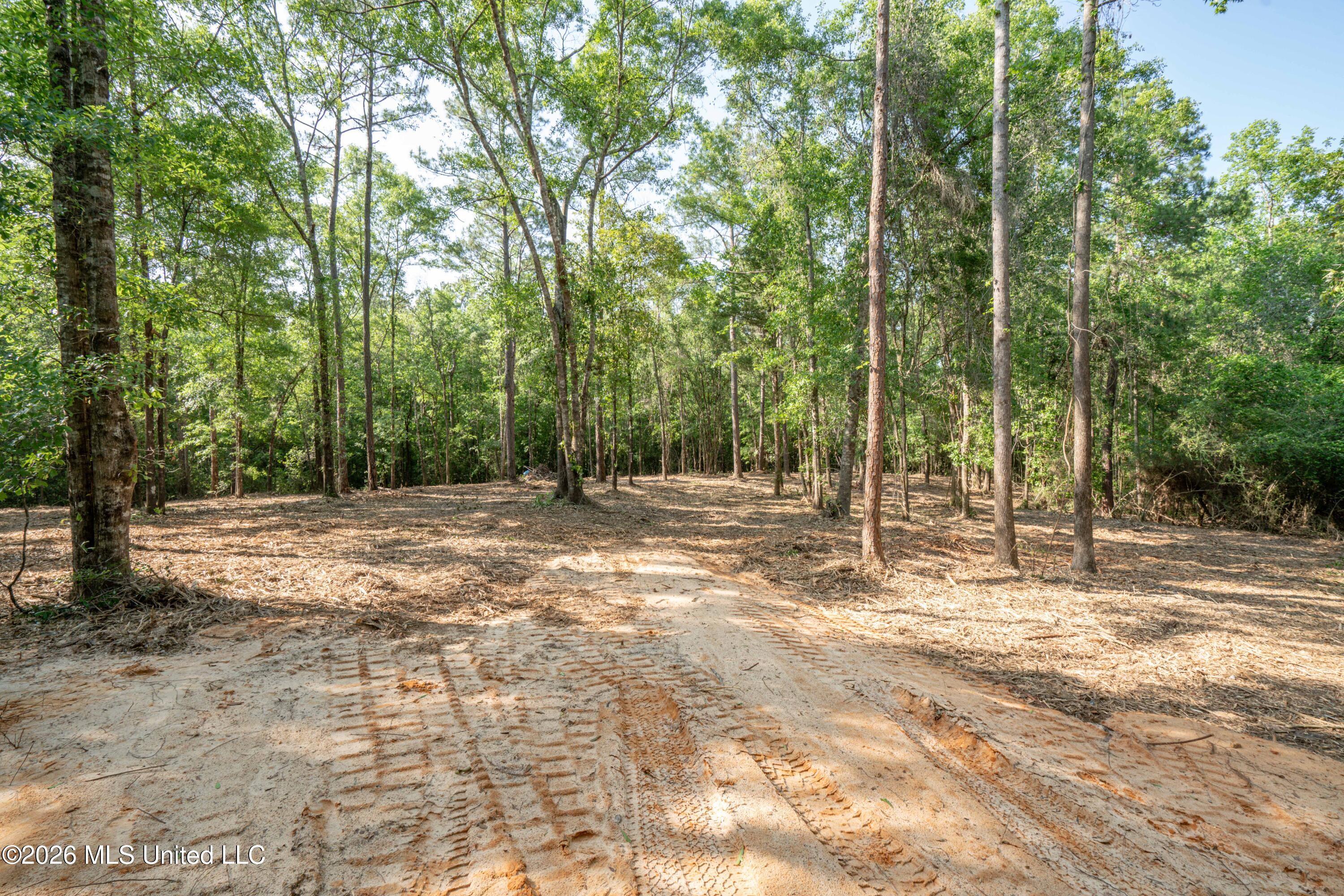 74-ac Cowart Road Lucedale, MS 39452 - Photo 23 of 37 JC203274
