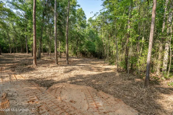 $275,000 | 74-ac Cowart Road, Lucedale, MS 39452