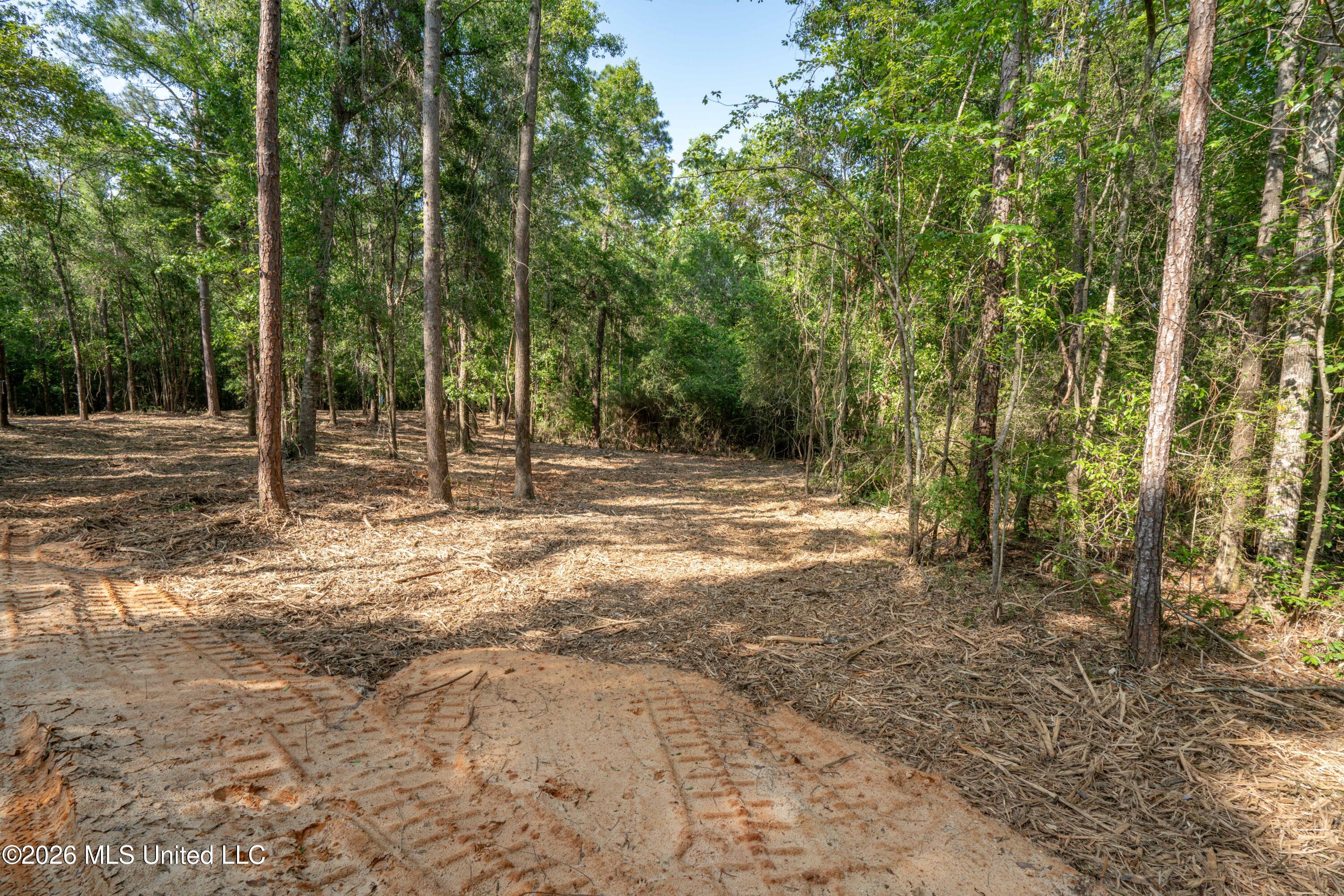 74-ac Cowart Road Lucedale, MS 39452 - Photo 24 of 37 JC203275