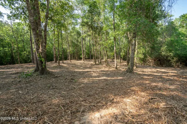 $275,000 | 74-ac Cowart Road, Lucedale, MS 39452