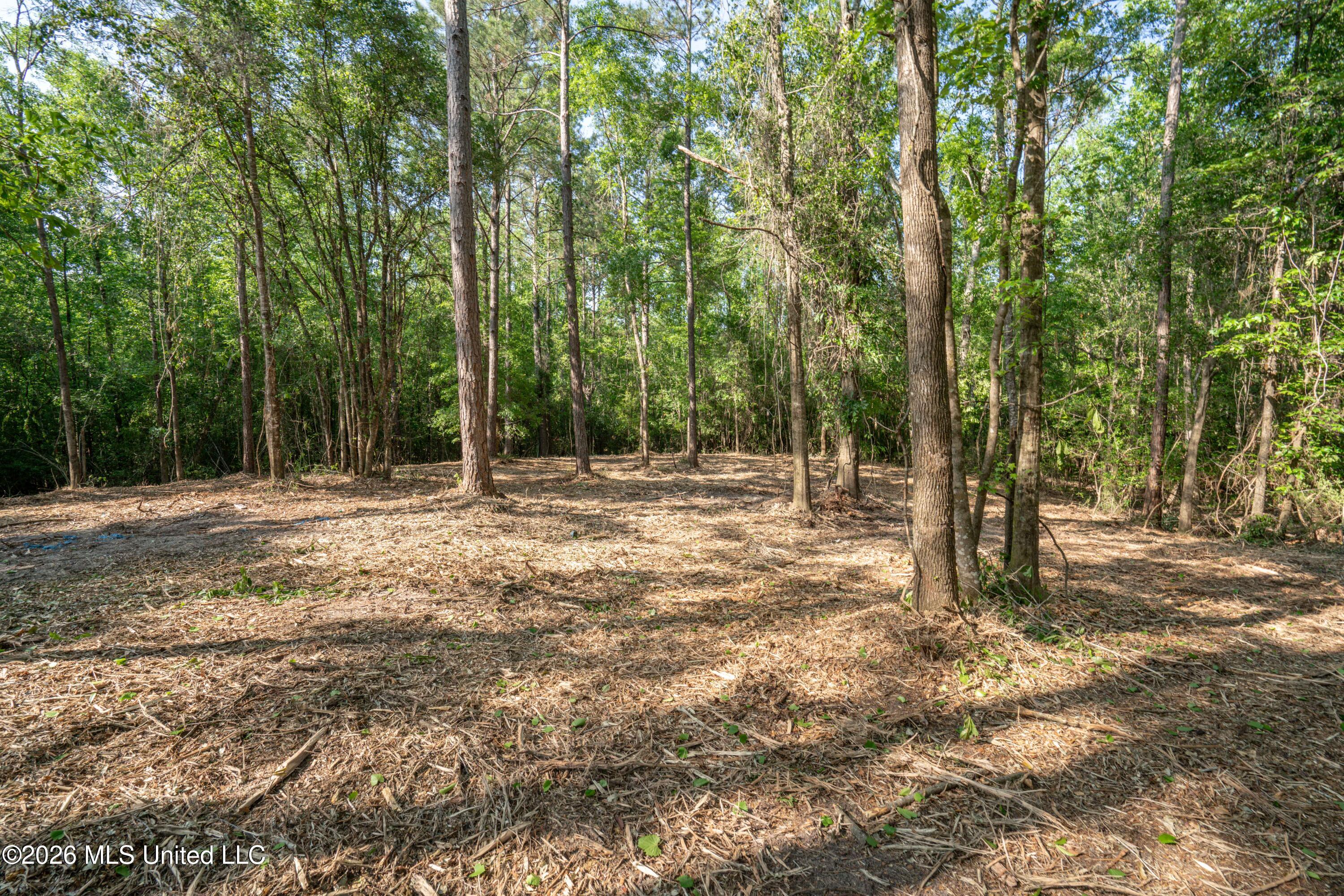 74-ac Cowart Road Lucedale, MS 39452 - Photo 27 of 37 JC203277