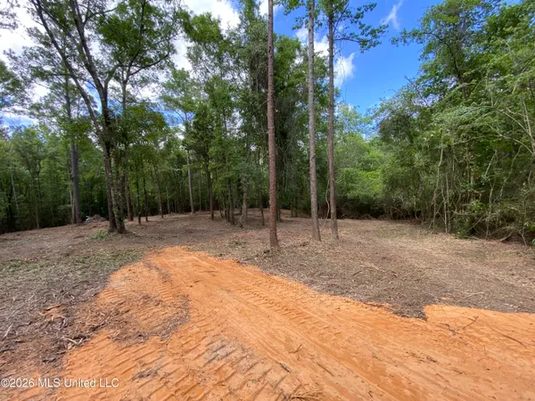 $275,000 | 74-ac Cowart Road, Lucedale, MS 39452