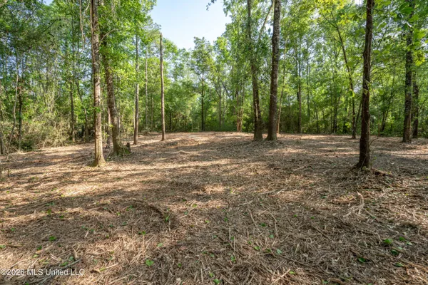 $275,000 | 74-ac Cowart Road, Lucedale, MS 39452
