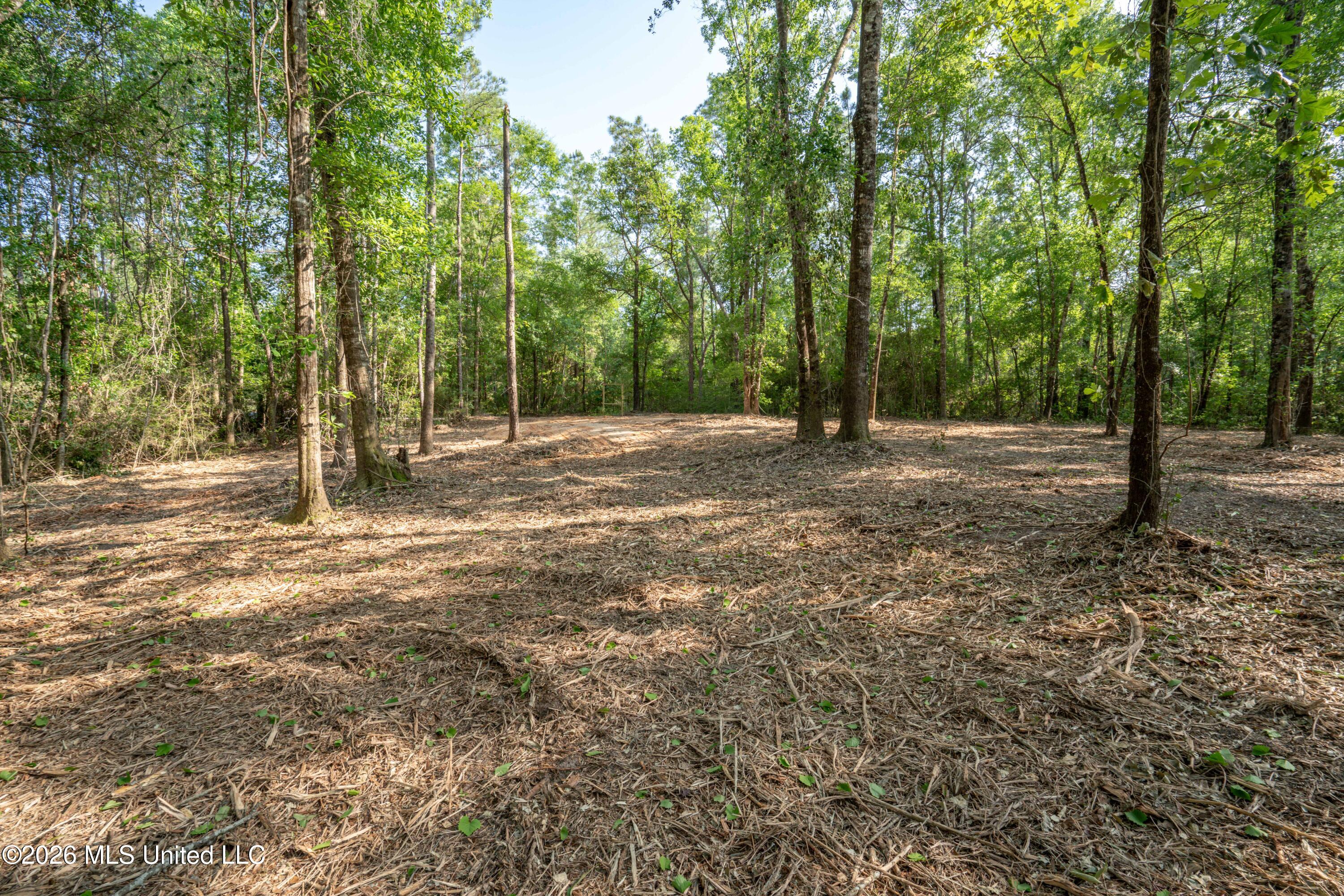 74-ac Cowart Road Lucedale, MS 39452 - Photo 29 of 37 JC203278