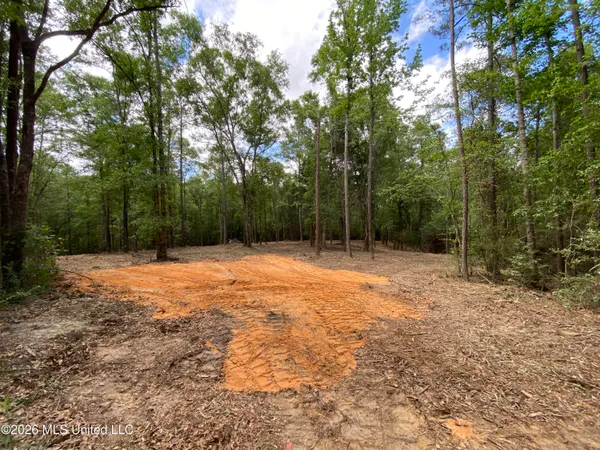$275,000 | 74-ac Cowart Road, Lucedale, MS 39452