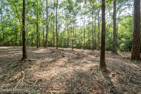 $275,000 | 74-ac Cowart Road, Lucedale, MS 39452