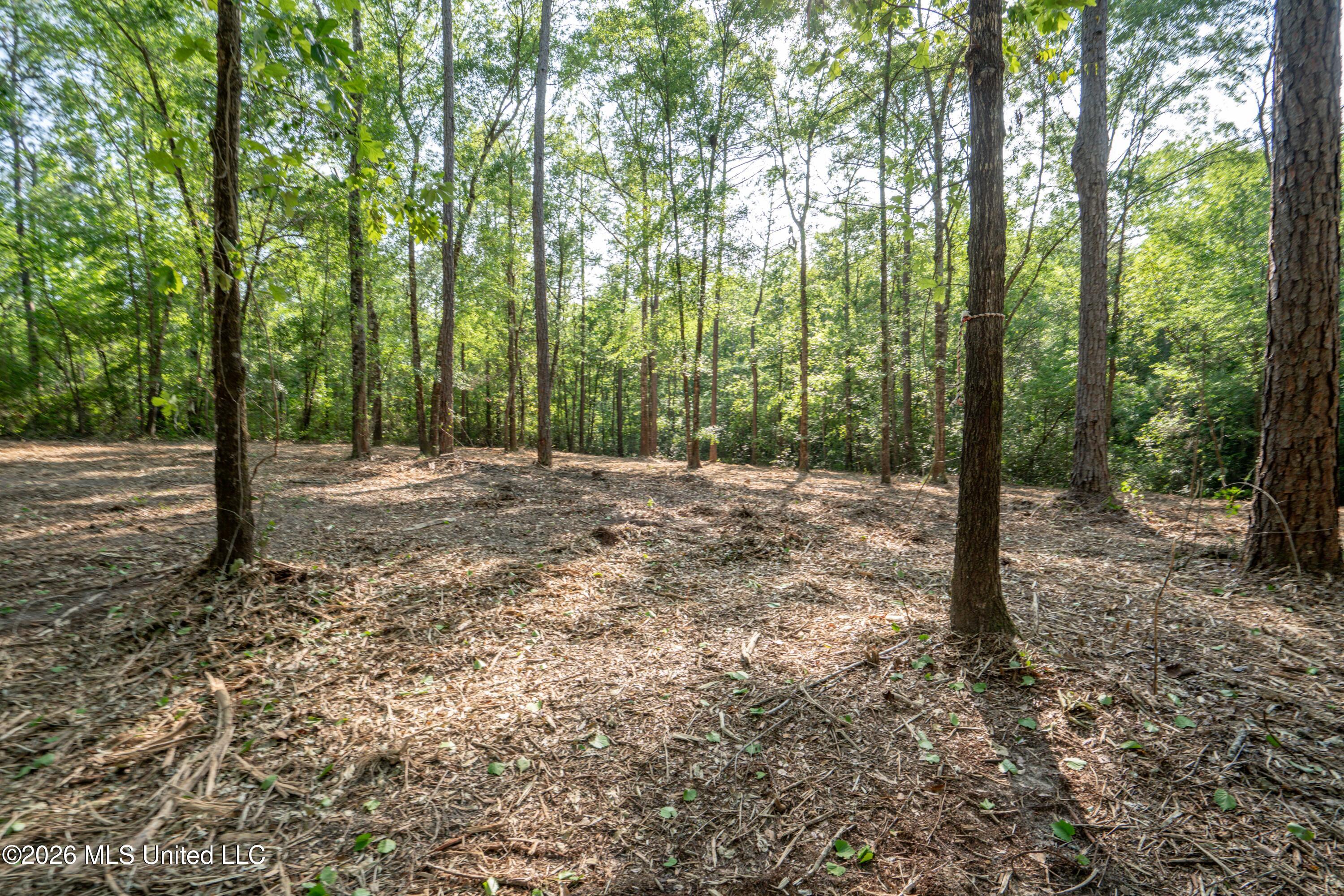 74-ac Cowart Road Lucedale, MS 39452 - Photo 31 of 37 JC203279