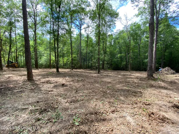 $275,000 | 74-ac Cowart Road, Lucedale, MS 39452