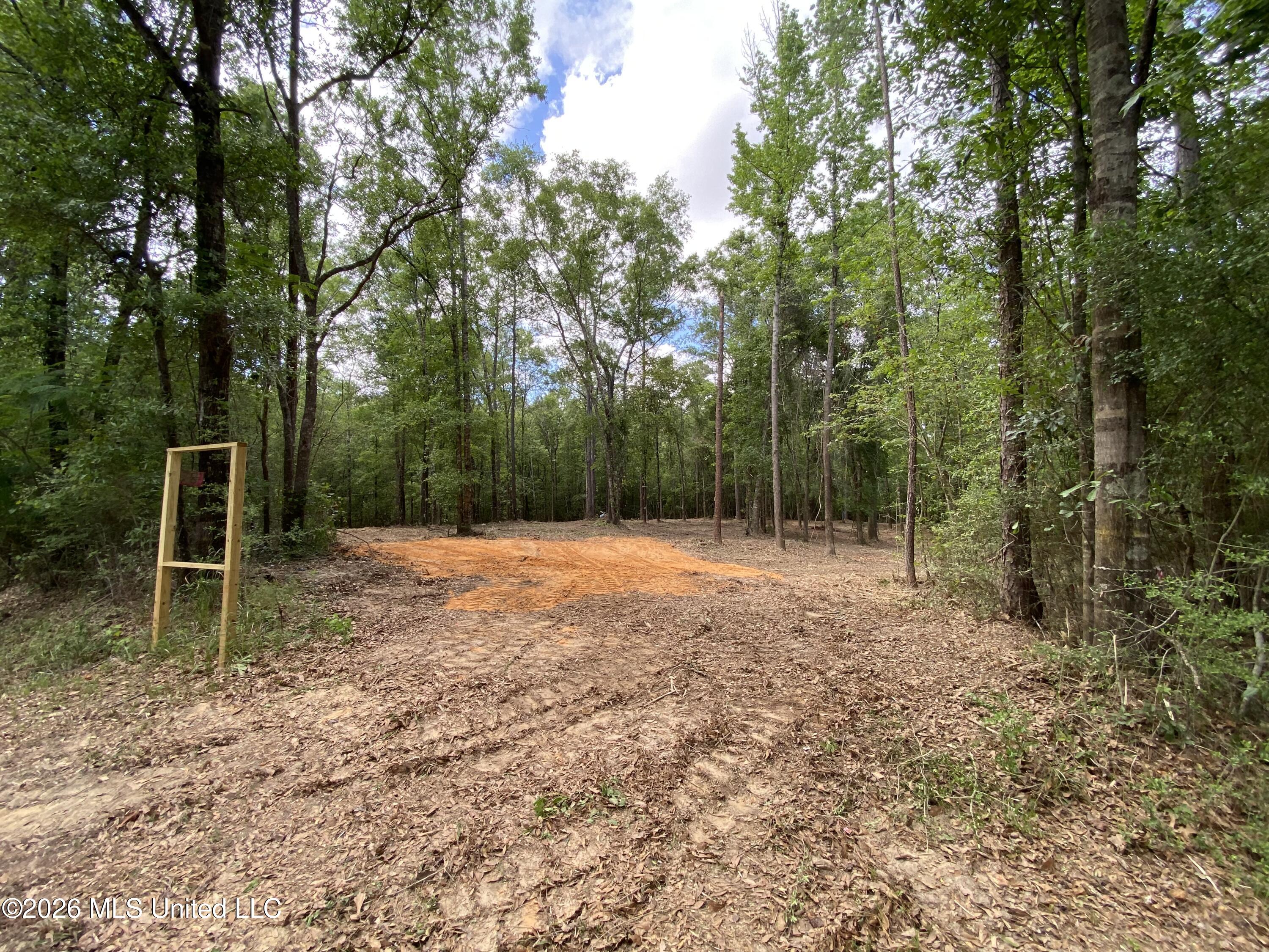 74-ac Cowart Road Lucedale, MS 39452 - Photo 33 of 37 914DF908-4B37-4B36-B429-DF0DAC02A6C8