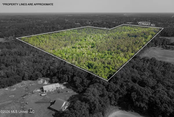 $275,000 | 74-ac Cowart Road, Lucedale, MS 39452