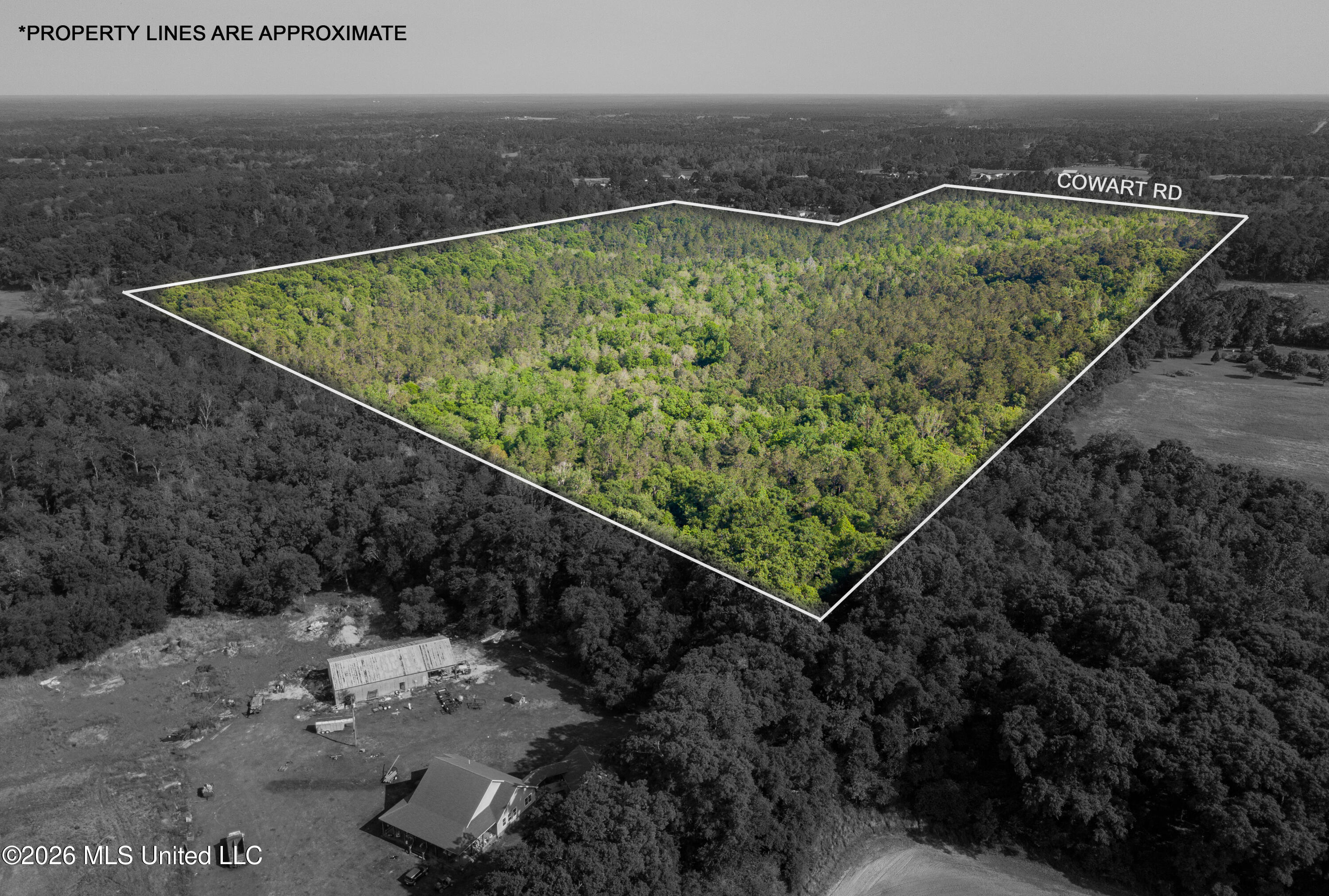 74-ac Cowart Road Lucedale, MS 39452 - Photo 5 of 37 DJI_0005-Edit