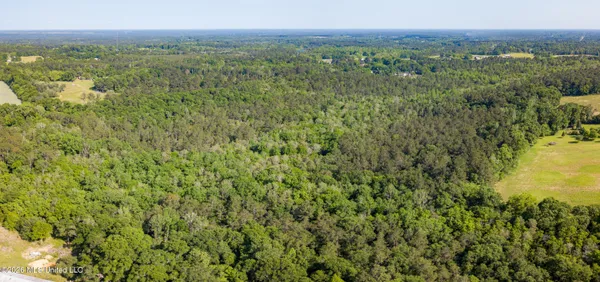 $275,000 | 74-ac Cowart Road, Lucedale, MS 39452