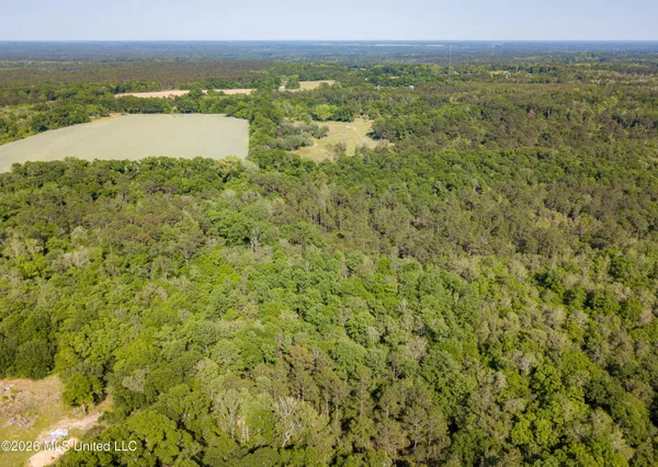 $275,000 | 74-ac Cowart Road, Lucedale, MS 39452