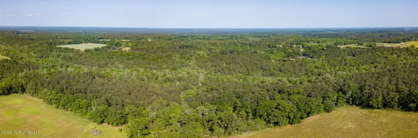 $275,000 | 74-ac Cowart Road, Lucedale, MS 39452