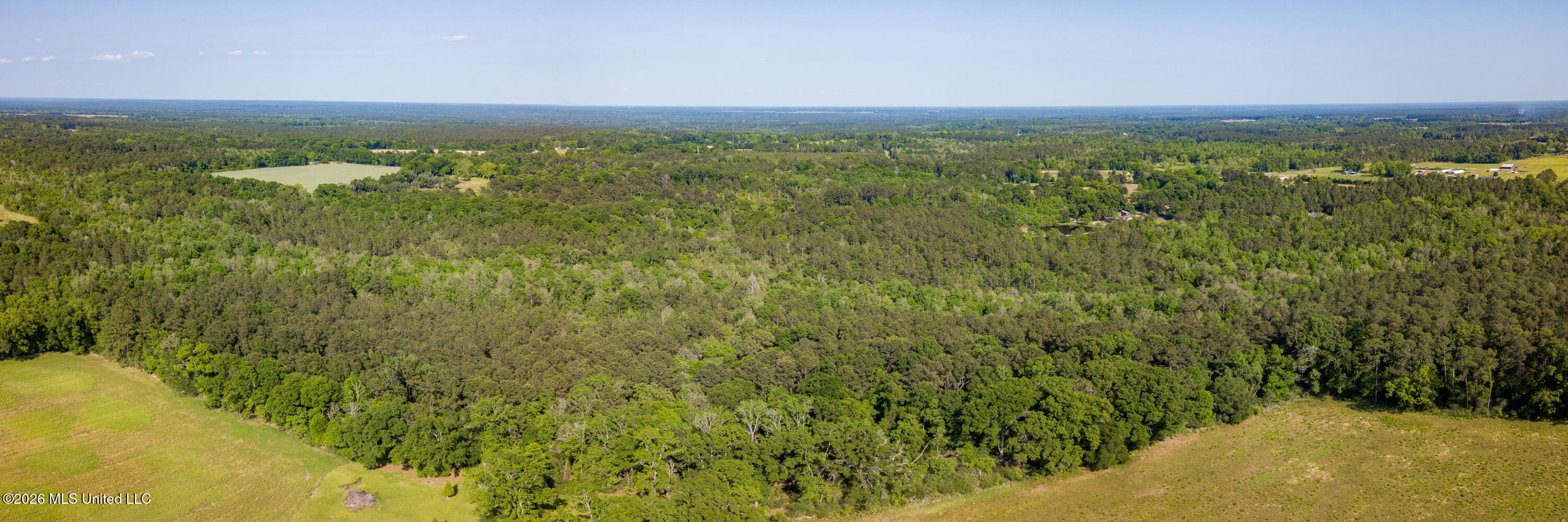 74-ac Cowart Road Lucedale, MS 39452 - Photo 9 of 37 DJI_0022-Pano