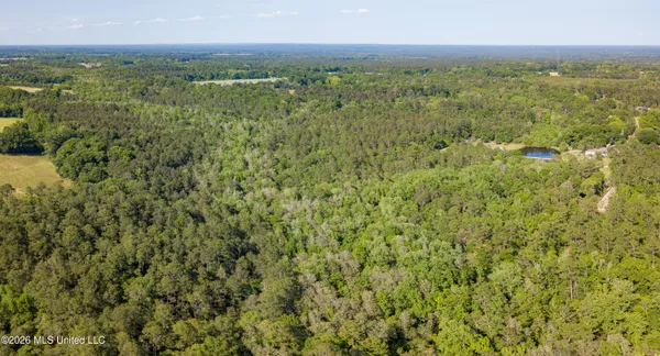 $275,000 | 74-ac Cowart Road, Lucedale, MS 39452